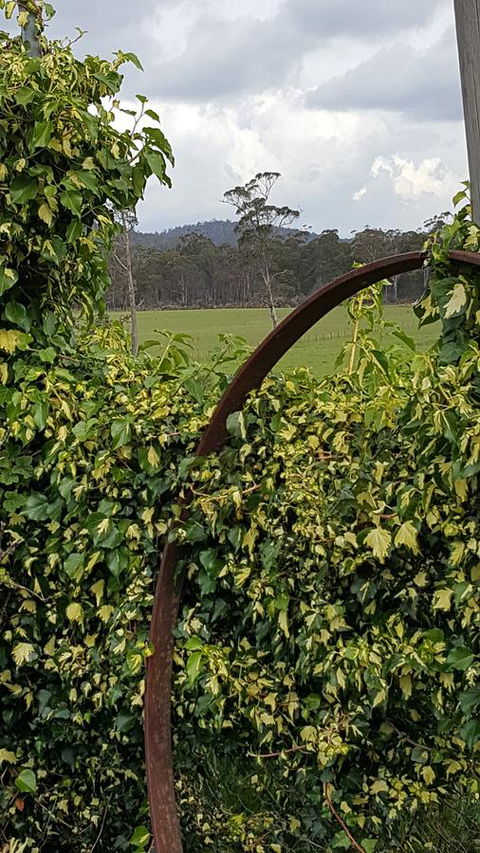 Hazelcreek Cottages - Kalgoorlie Accommodation 36