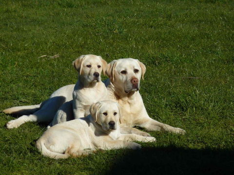 Hazelcreek Cottages - Kalgoorlie Accommodation 26