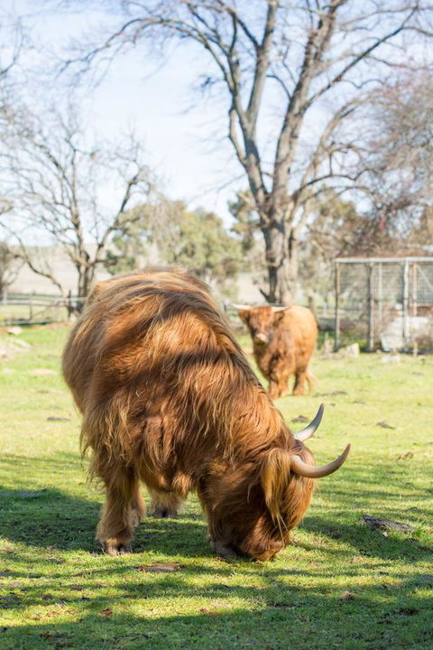 Ratho Farm - Kalgoorlie Accommodation 4