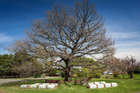 Ratho Farm - Kalgoorlie Accommodation 8