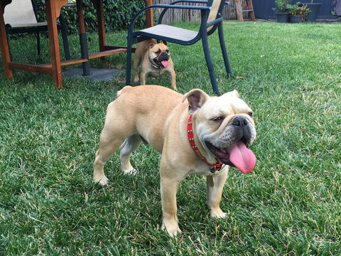 Montacute Boutique Bunkhouse - Kalgoorlie Accommodation 21