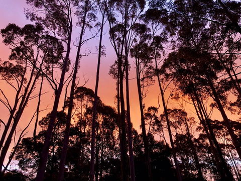 Lemonthyme Wilderness Retreat - Kalgoorlie Accommodation 8