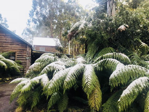 Lemonthyme Wilderness Retreat - Kalgoorlie Accommodation 5