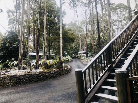Lemonthyme Wilderness Retreat - Kalgoorlie Accommodation 15