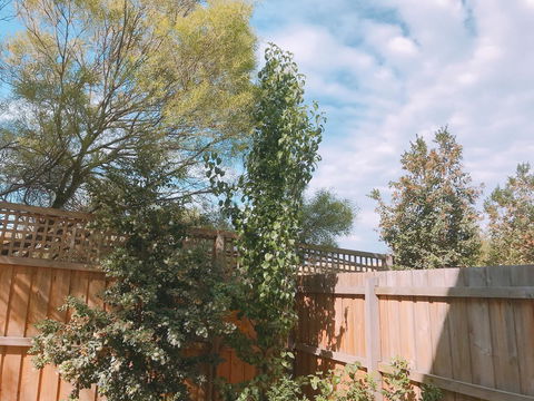 Ellia Doncaster Apartment - Kalgoorlie Accommodation 17