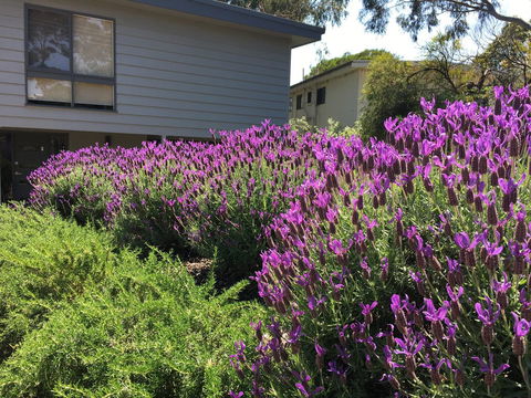 Kookas Retreat - Kalgoorlie Accommodation 14