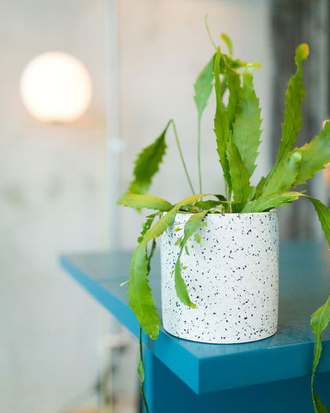 Sage Melbourne Ringwood - Kalgoorlie Accommodation 36