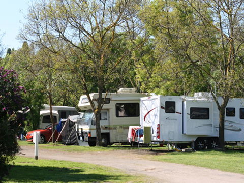 Tasman Holiday Parks - Geelong - Kalgoorlie Accommodation 21
