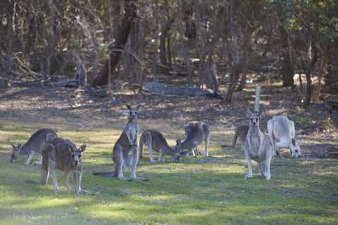 Yering Gorge Cottages - Kalgoorlie Accommodation 14