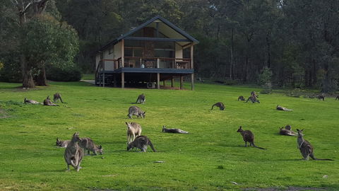 Yering Gorge Cottages - Kalgoorlie Accommodation 6