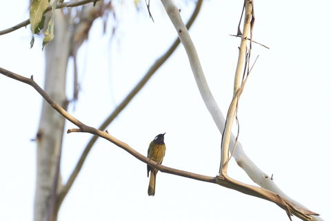 Yering Gorge Cottages - Kalgoorlie Accommodation 20