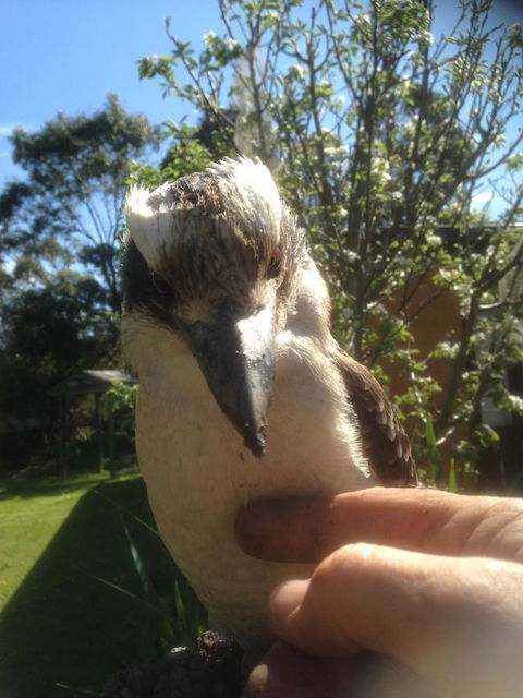Mud Hollow Barn - Kalgoorlie Accommodation 8