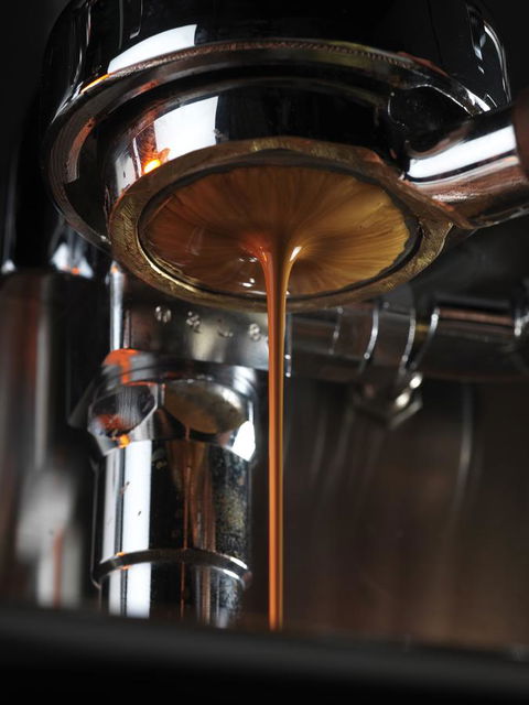 Essence Hotel Carlton - Kalgoorlie Accommodation 41