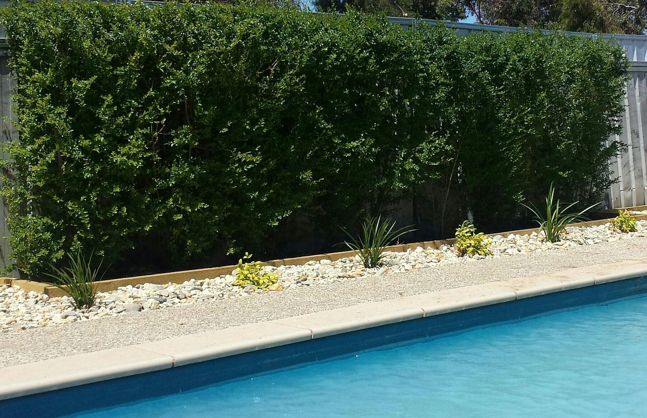 Annuello VIC Kalgoorlie Accommodation