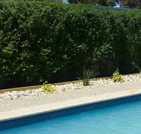 Robinvale Bridge Motel - Kalgoorlie Accommodation