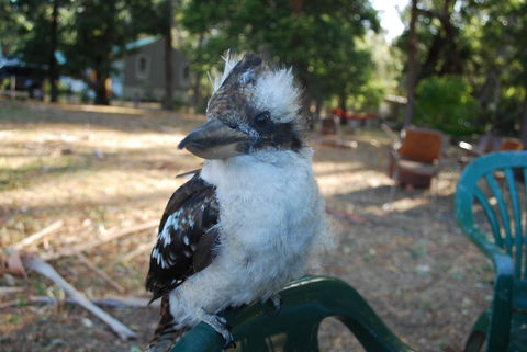 Gariwerd Motel - Kalgoorlie Accommodation 11