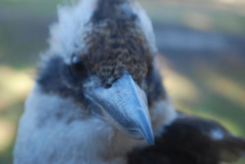 Gariwerd Motel - Kalgoorlie Accommodation 30