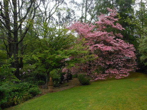 Merrimeet Cottages - Kalgoorlie Accommodation 23