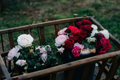 Acre Of Roses - Kalgoorlie Accommodation 21