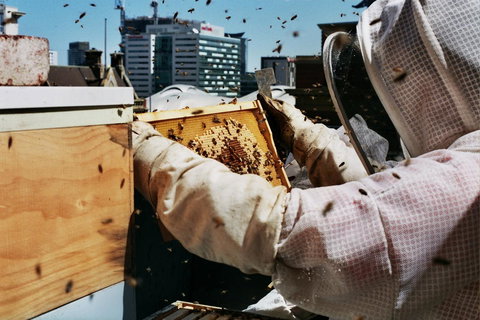 Alto Hotel On Bourke - Kalgoorlie Accommodation 14