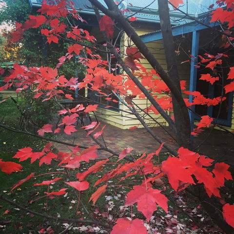 The Orchard House - Kalgoorlie Accommodation 27
