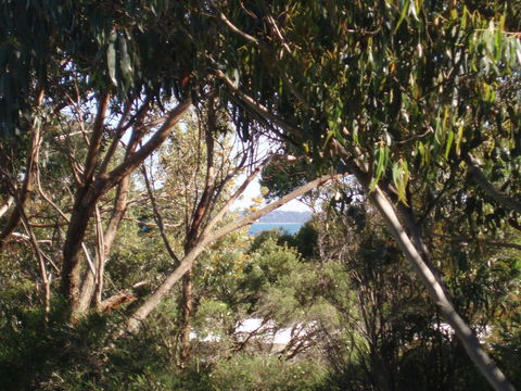 Aloha Ha Phillip Island - Kalgoorlie Accommodation 24