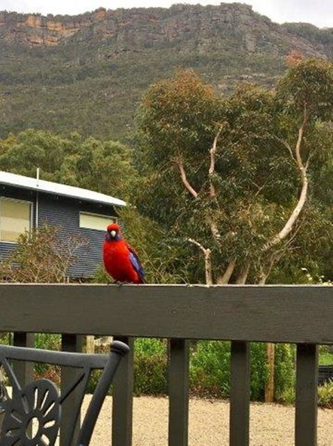 Kangurra Holiday House - Kalgoorlie Accommodation 15