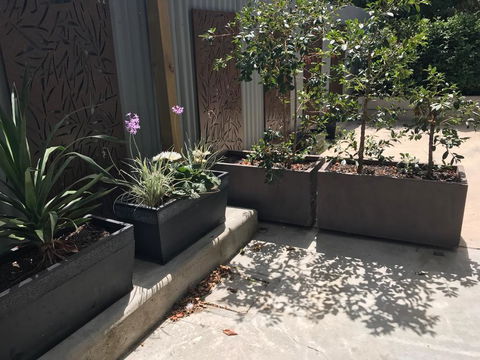 The Cottages At The 1839 - Kalgoorlie Accommodation 3