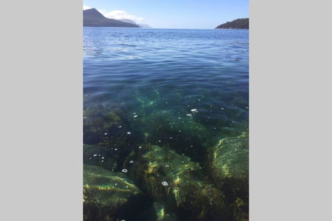 The Cove... On The Rocks At Port Arthur - Kalgoorlie Accommodation 3