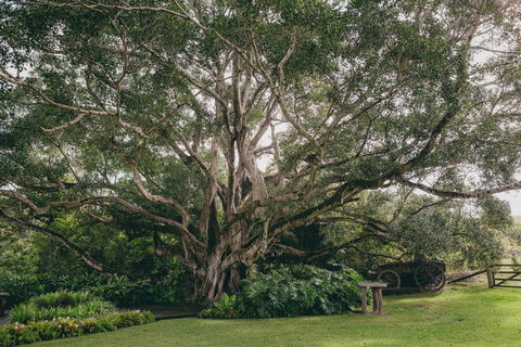 The Eumundi Dairy - Kalgoorlie Accommodation 2