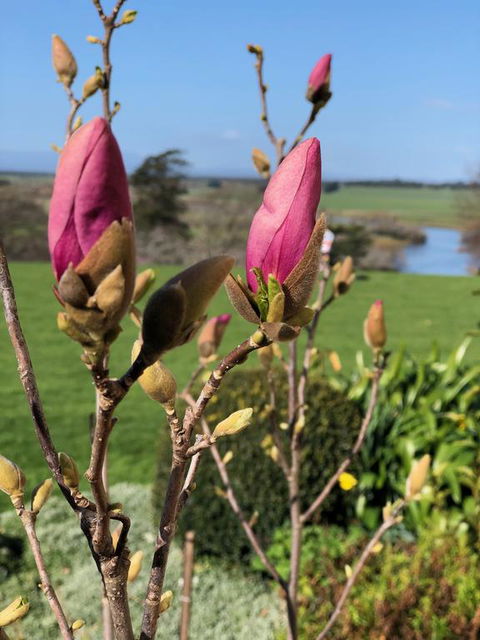 The Granary - Kalgoorlie Accommodation 3