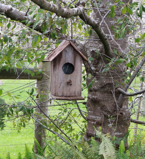 The Little House On The Hill - Kalgoorlie Accommodation 3