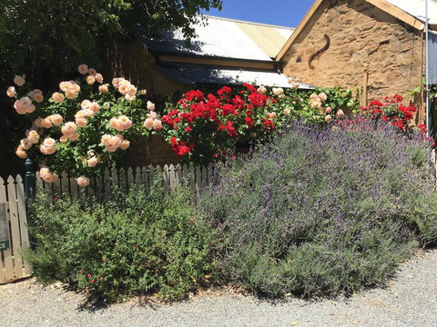 The Olde Devonshire House - Kalgoorlie Accommodation 2