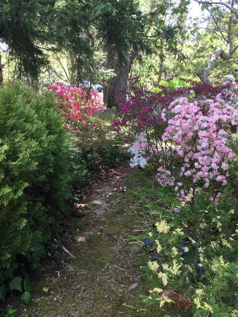 The Wentworth Retreat - Kalgoorlie Accommodation 3