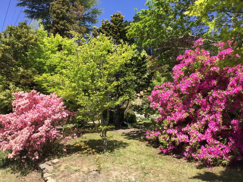 The Wentworth Retreat - Kalgoorlie Accommodation 1