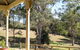 The Willows At Kurrajong - thumb 1