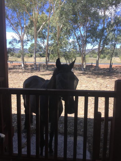 Thie My Chree Retreat - Kalgoorlie Accommodation 3