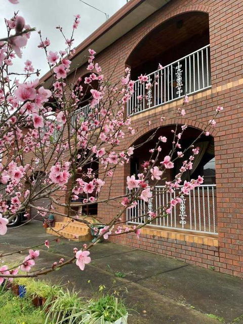 Thomastown Antique House Room 3 - Kalgoorlie Accommodation 3