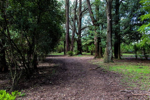 Tomah Retreat - Relax & Heal At UNWIND - Kalgoorlie Accommodation 1
