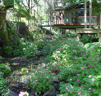 Treetops Montville - Kalgoorlie Accommodation