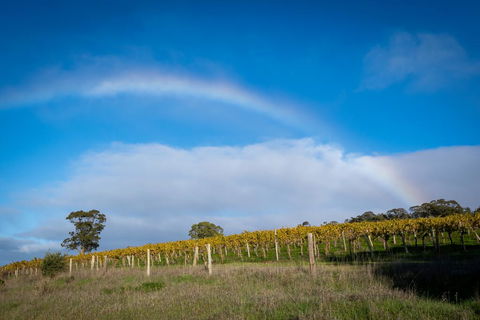 Triple Creek Guest House - Barossa Region - Kalgoorlie Accommodation 2