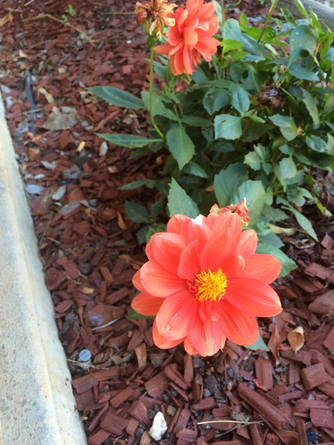 Tumut Valley Motel - Kalgoorlie Accommodation 1