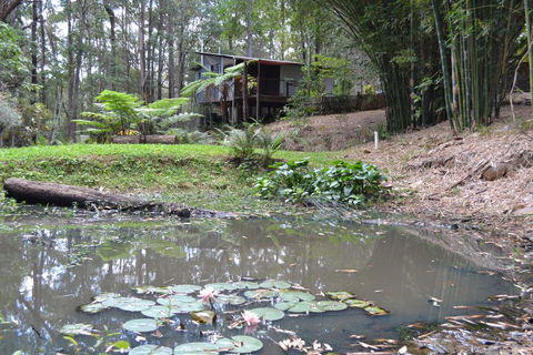 Turmeric Gardens - Kalgoorlie Accommodation 3