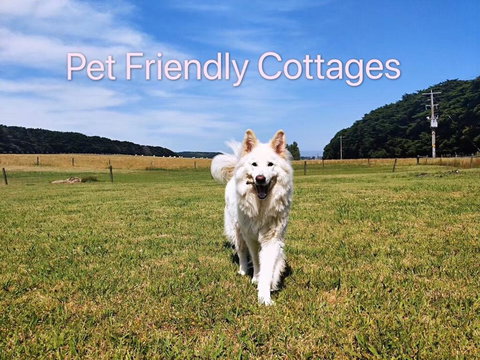 Twelve Apostles Motel & Country Retreat - Kalgoorlie Accommodation 2