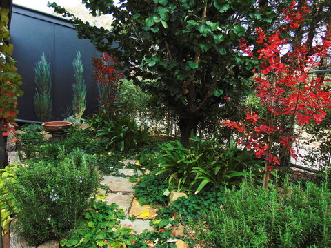 Twin Palms Castlemaine - Kalgoorlie Accommodation 1