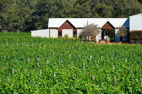 Upper Reach Spa Cottage - Kalgoorlie Accommodation 0