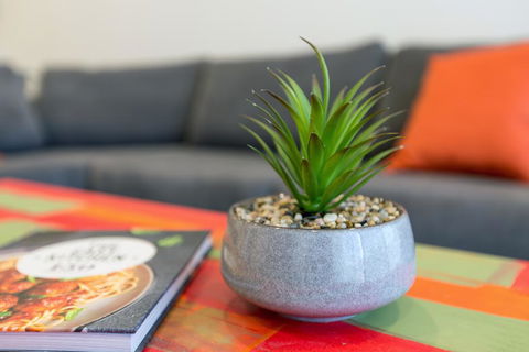 Urban Jungle! Executive Apartment In Heart Of CBD - Kalgoorlie Accommodation 1