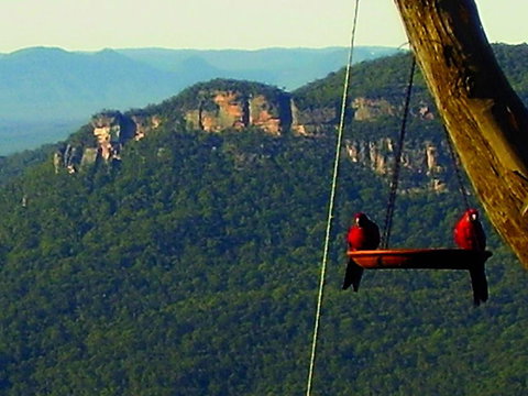 Valley Of The Waters B&B - Kalgoorlie Accommodation 3