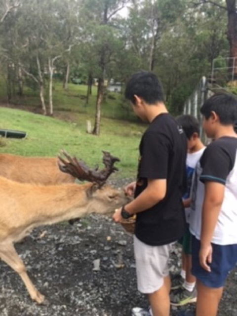 Villa Cervi Property - Kalgoorlie Accommodation 3