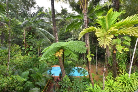 Wait A While Daintree - Kalgoorlie Accommodation 3